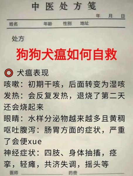 狗瘟在家怎么治疗最有效-狗瘟自己怎么用药治疗-第6张图片 狗瘟在家怎么治疗最有效-狗瘟自己怎么用药治疗-第6张图片