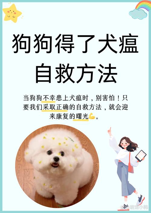 狗瘟在家怎么治疗最有效-狗瘟自己怎么用药治疗-第7张图片 狗瘟在家怎么治疗最有效-狗瘟自己怎么用药治疗-第7张图片