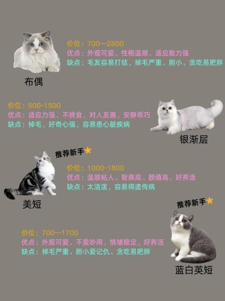 猫有多少品种/大熊猫有多少品种-第8张图片 猫有多少品种/大熊猫有多少品种-第8张图片