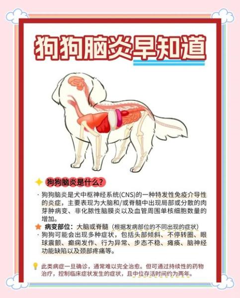 犬脑炎/犬脑炎症状-第1张图片 犬脑炎/犬脑炎症状-第1张图片