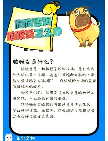 犬脑炎/犬脑炎症状-第3张图片 犬脑炎/犬脑炎症状-第3张图片