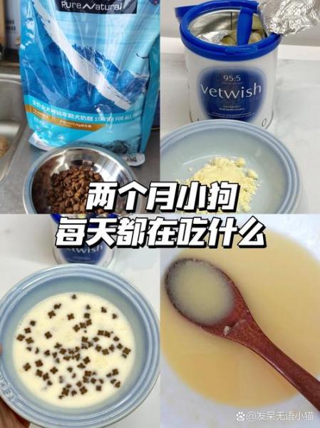 两个月的狗狗吃什么，两个月的狗狗吃什么驱虫药