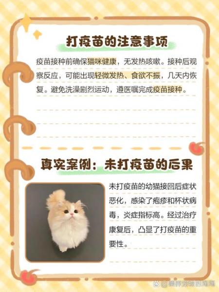 猫咪不打疫苗会怎么样/猫咪不打疫苗会有什么后果-第4张图片 猫咪不打疫苗会怎么样/猫咪不打疫苗会有什么后果-第4张图片
