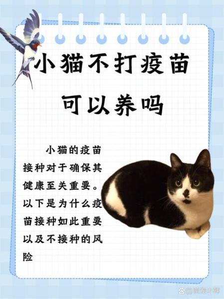 猫咪不打疫苗会怎么样/猫咪不打疫苗会有什么后果-第10张图片 猫咪不打疫苗会怎么样/猫咪不打疫苗会有什么后果-第10张图片