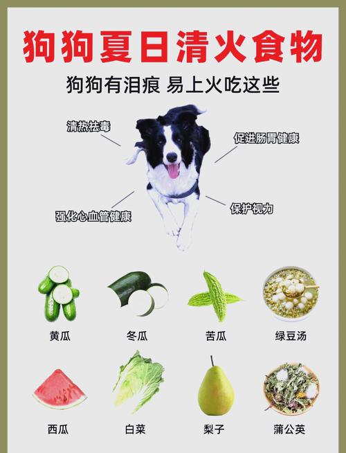 解析“狗狗能喝菊花泡的水吗”你不知道的事-第2张图片 解析“狗狗能喝菊花泡的水吗”你不知道的事-第2张图片