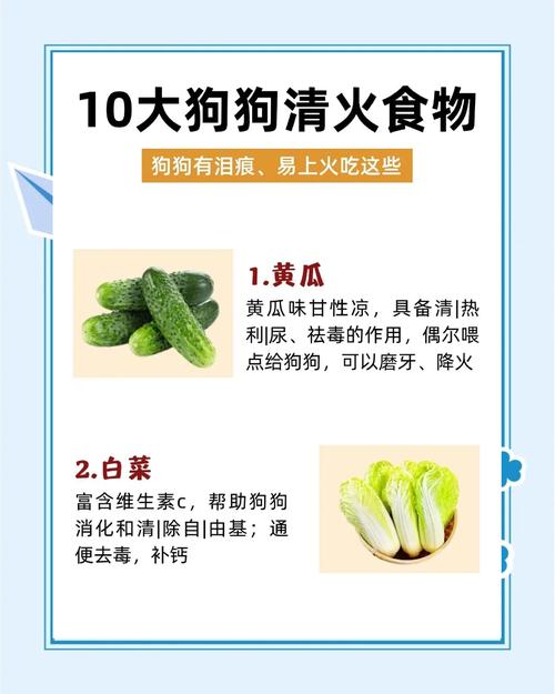 解析“狗狗能喝菊花泡的水吗”你不知道的事-第3张图片 解析“狗狗能喝菊花泡的水吗”你不知道的事-第3张图片