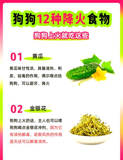 解析“狗狗能喝菊花泡的水吗”你不知道的事-第5张图片 解析“狗狗能喝菊花泡的水吗”你不知道的事-第5张图片