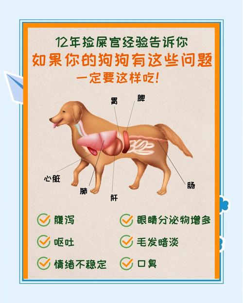 狗狗拉肚子可以吃什么/狗狗拉肚子可以吃什么蔬菜