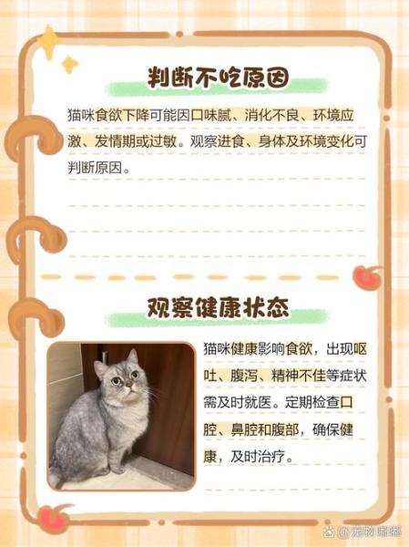 猫咪突然不吃猫粮了/猫咪突然不吃猫粮了怎么办-第4张图片 猫咪突然不吃猫粮了/猫咪突然不吃猫粮了怎么办-第4张图片