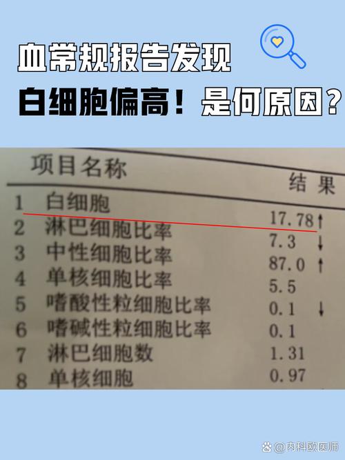 解析“狗狗白细胞高怎么办”你不知道的事-第3张图片 解析“狗狗白细胞高怎么办”你不知道的事-第3张图片