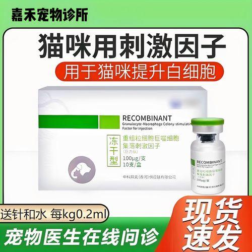 解析“狗狗白细胞高怎么办”你不知道的事-第4张图片 解析“狗狗白细胞高怎么办”你不知道的事-第4张图片