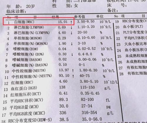 解析“狗狗白细胞高怎么办”你不知道的事-第7张图片 解析“狗狗白细胞高怎么办”你不知道的事-第7张图片