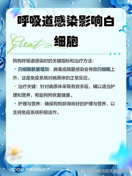 解析“狗狗白细胞高怎么办”你不知道的事-第8张图片 解析“狗狗白细胞高怎么办”你不知道的事-第8张图片