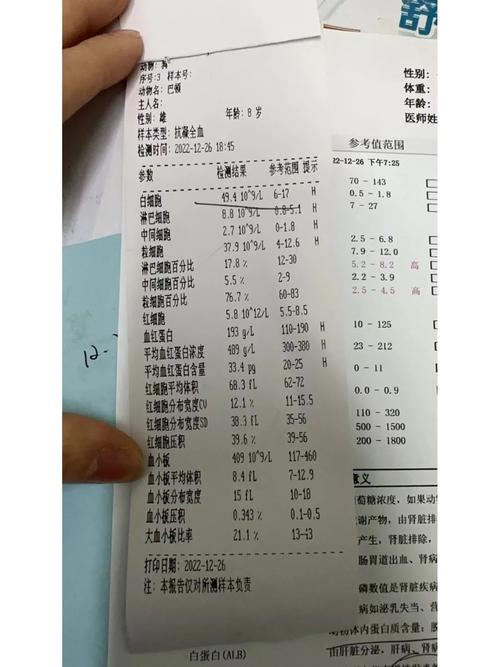 解析“狗狗白细胞高怎么办”你不知道的事-第10张图片 解析“狗狗白细胞高怎么办”你不知道的事-第10张图片