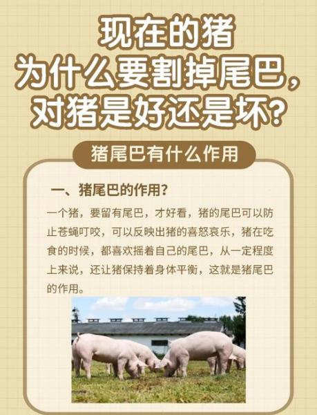 解析“割尾巴”你不知道的事-第5张图片 解析“割尾巴”你不知道的事-第5张图片