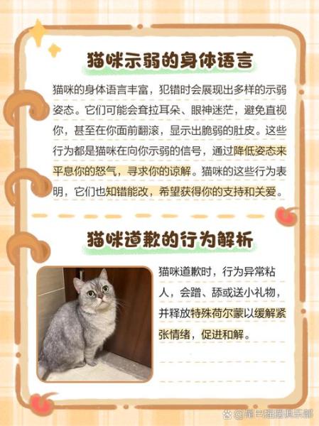 猫咪示好的表现,猫咪示爱表情包-第3张图片 猫咪示好的表现,猫咪示爱表情包-第3张图片