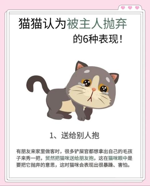 猫咪示好的表现,猫咪示爱表情包-第4张图片 猫咪示好的表现,猫咪示爱表情包-第4张图片