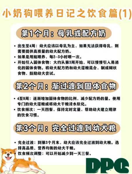 解析“一个月的狗狗吃什么”你不知道的事-第4张图片 解析“一个月的狗狗吃什么”你不知道的事-第4张图片