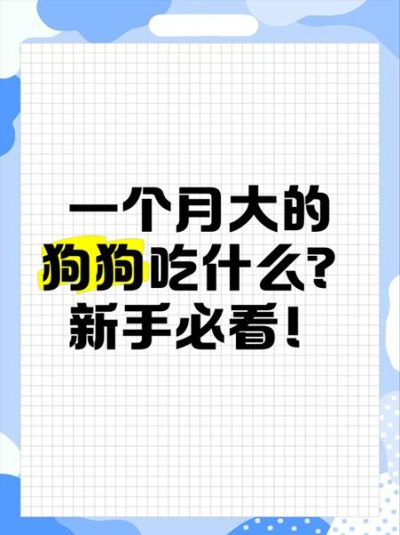 解析“一个月的狗狗吃什么”你不知道的事-第5张图片 解析“一个月的狗狗吃什么”你不知道的事-第5张图片
