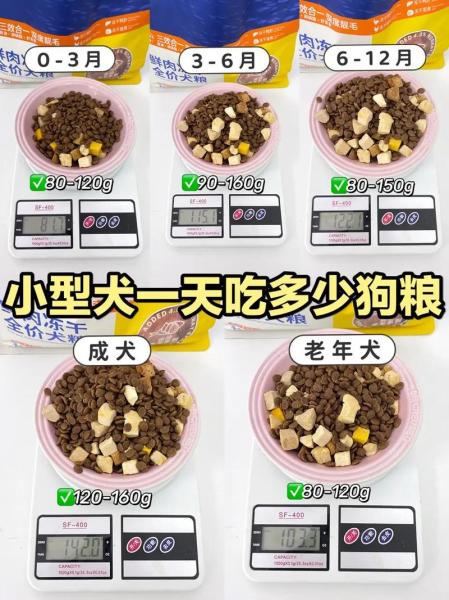 解析“一个月的狗狗吃什么”你不知道的事-第10张图片 解析“一个月的狗狗吃什么”你不知道的事-第10张图片