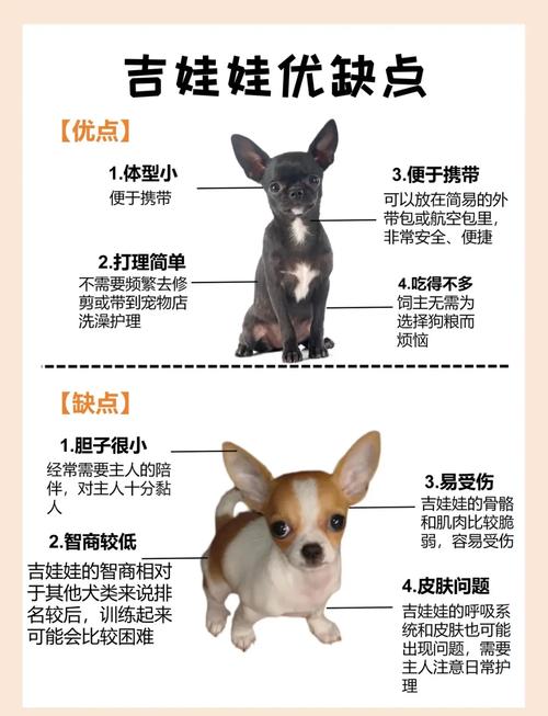 作为消费者“狗狗不爱喝水怎么办”你不能不知道-第2张图片 作为消费者“狗狗不爱喝水怎么办”你不能不知道-第2张图片