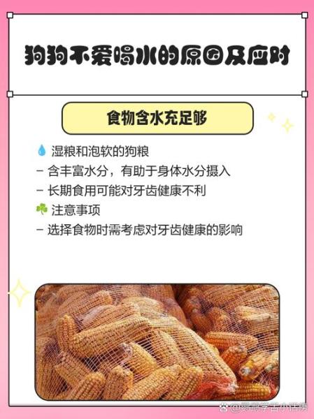 作为消费者“狗狗不爱喝水怎么办”你不能不知道-第6张图片 作为消费者“狗狗不爱喝水怎么办”你不能不知道-第6张图片