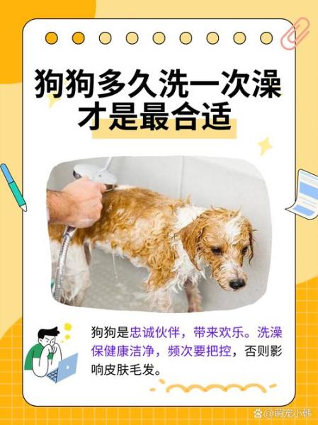 狗狗打疫苗多久可以洗澡,狗子打疫苗多久以后可以洗澡-第2张图片 狗狗打疫苗多久可以洗澡,狗子打疫苗多久以后可以洗澡-第2张图片
