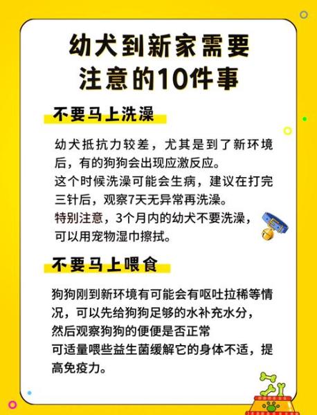 狗狗打疫苗多久可以洗澡,狗子打疫苗多久以后可以洗澡-第4张图片 狗狗打疫苗多久可以洗澡,狗子打疫苗多久以后可以洗澡-第4张图片
