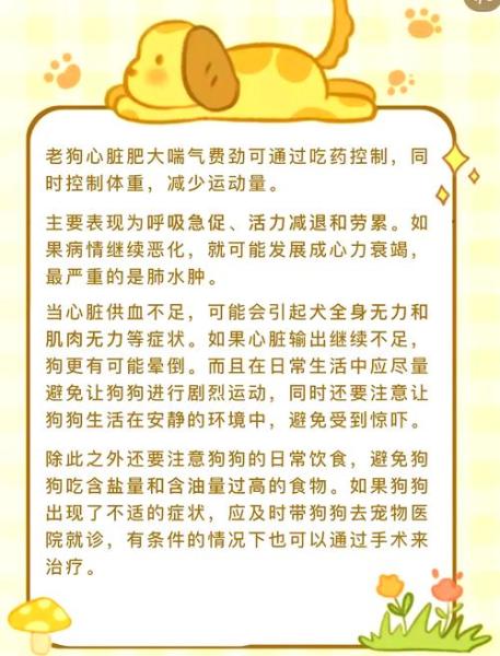 狗狗喘的厉害怎么办，狗喘气喘得很厉害