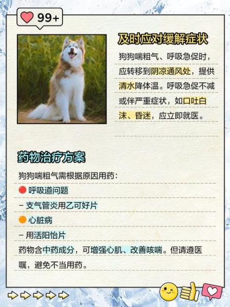 狗狗喘的厉害怎么办,狗喘气喘得很厉害-第4张图片 狗狗喘的厉害怎么办,狗喘气喘得很厉害-第4张图片