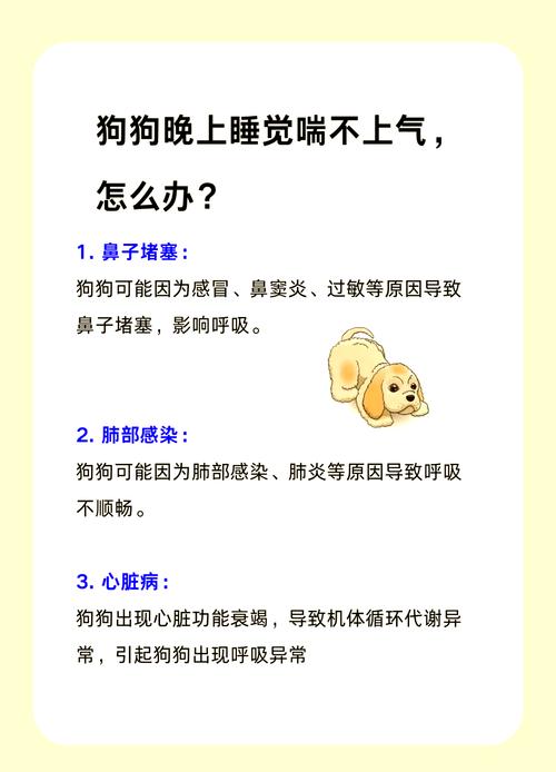 狗狗喘的厉害怎么办,狗喘气喘得很厉害-第7张图片 狗狗喘的厉害怎么办,狗喘气喘得很厉害-第7张图片