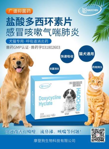 狗狗喘的厉害怎么办,狗喘气喘得很厉害-第9张图片 狗狗喘的厉害怎么办,狗喘气喘得很厉害-第9张图片