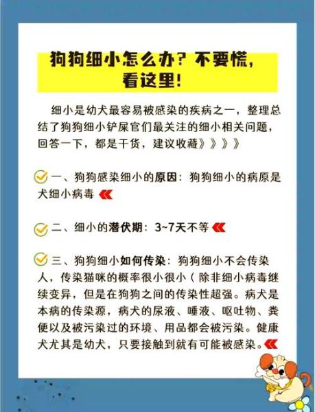 作为消费者“狗狗几个月容易得细小”你不能不知道-第5张图片 作为消费者“狗狗几个月容易得细小”你不能不知道-第5张图片