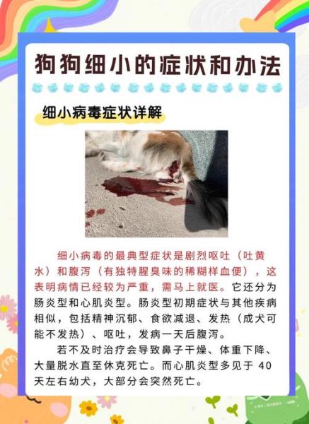 作为消费者“狗狗几个月容易得细小”你不能不知道-第6张图片 作为消费者“狗狗几个月容易得细小”你不能不知道-第6张图片