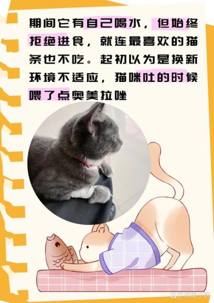 作为消费者“猫咪不怎么吃东西”你不能不知道-第3张图片 作为消费者“猫咪不怎么吃东西”你不能不知道-第3张图片