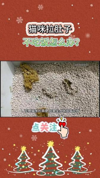 作为消费者“猫咪不怎么吃东西”你不能不知道-第5张图片 作为消费者“猫咪不怎么吃东西”你不能不知道-第5张图片