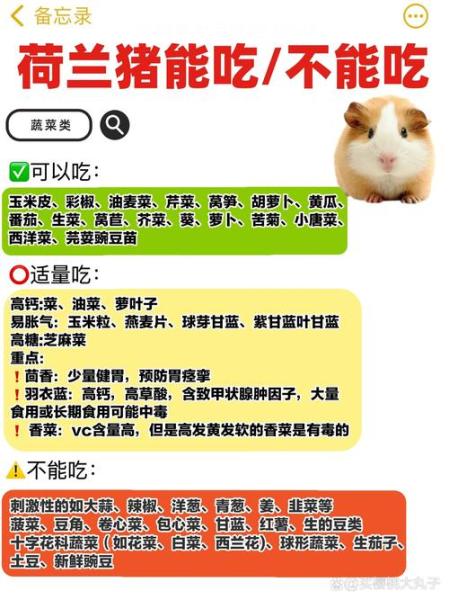 荷兰猪可以吃什么蔬菜-荷兰猪可以吃哪些菜-第6张图片 荷兰猪可以吃什么蔬菜-荷兰猪可以吃哪些菜-第6张图片