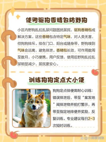 解析“狗狗到处拉屎尿怎么办”你不知道的事-第1张图片 解析“狗狗到处拉屎尿怎么办”你不知道的事-第1张图片
