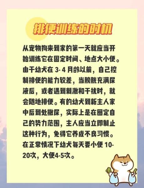 解析“狗狗到处拉屎尿怎么办”你不知道的事-第6张图片 解析“狗狗到处拉屎尿怎么办”你不知道的事-第6张图片