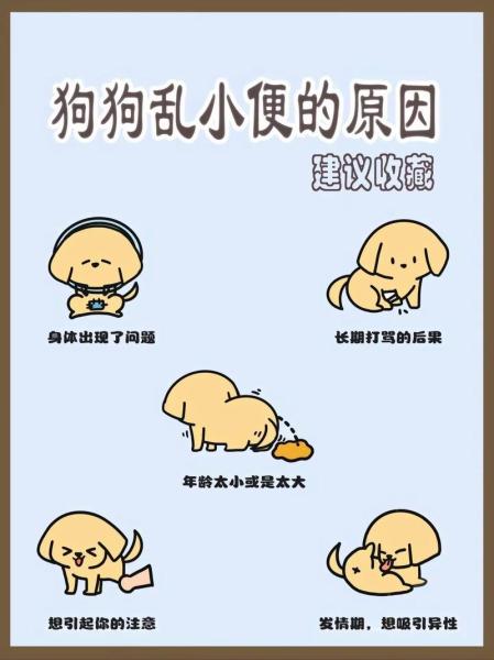 解析“狗狗到处拉屎尿怎么办”你不知道的事-第9张图片 解析“狗狗到处拉屎尿怎么办”你不知道的事-第9张图片