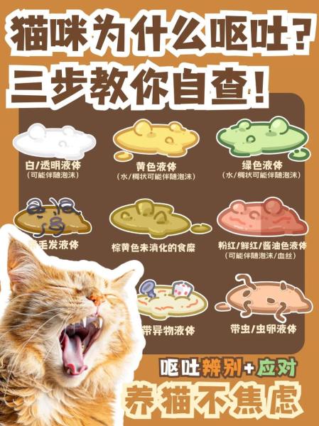 解析“猫咪吐舌头是什么意思”你不知道的事-第8张图片 解析“猫咪吐舌头是什么意思”你不知道的事-第8张图片