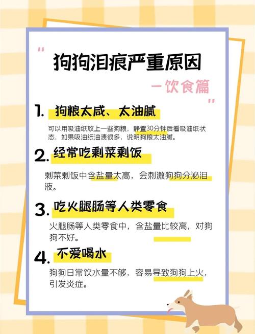 解析“怎样去除狗狗的泪痕”你不知道的事-第3张图片 解析“怎样去除狗狗的泪痕”你不知道的事-第3张图片