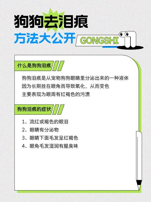 解析“怎样去除狗狗的泪痕”你不知道的事-第4张图片 解析“怎样去除狗狗的泪痕”你不知道的事-第4张图片