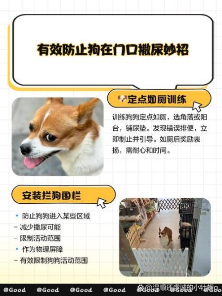 狗狗大小便怎么解决,狗狗大小便怎么解决问题-第4张图片 狗狗大小便怎么解决,狗狗大小便怎么解决问题-第4张图片