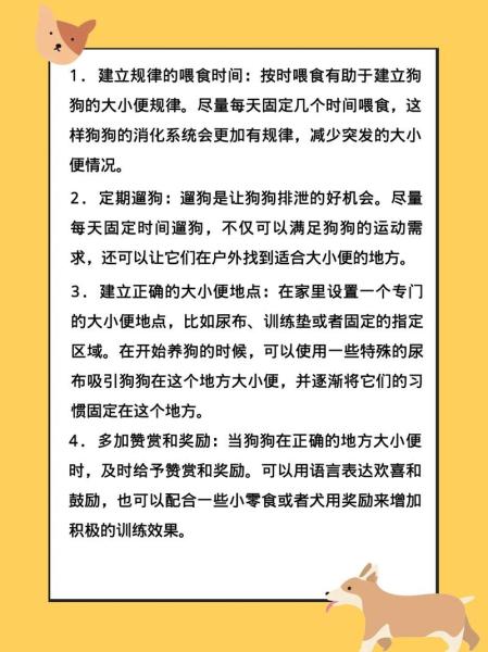 狗狗大小便怎么解决,狗狗大小便怎么解决问题-第7张图片 狗狗大小便怎么解决,狗狗大小便怎么解决问题-第7张图片