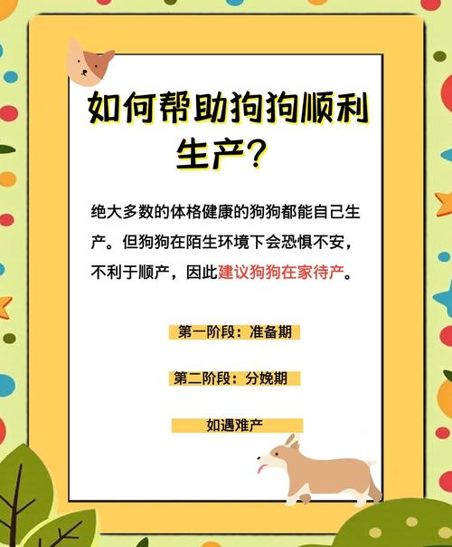 狗狗生产/狗狗生产后多久可以洗澡-第2张图片 狗狗生产/狗狗生产后多久可以洗澡-第2张图片