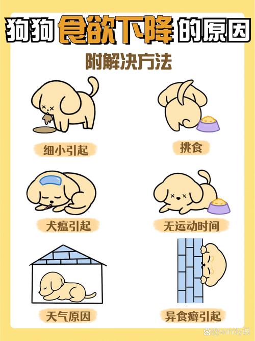 狗狗不吃食怎么办-夏天热狗狗不吃饭怎么办