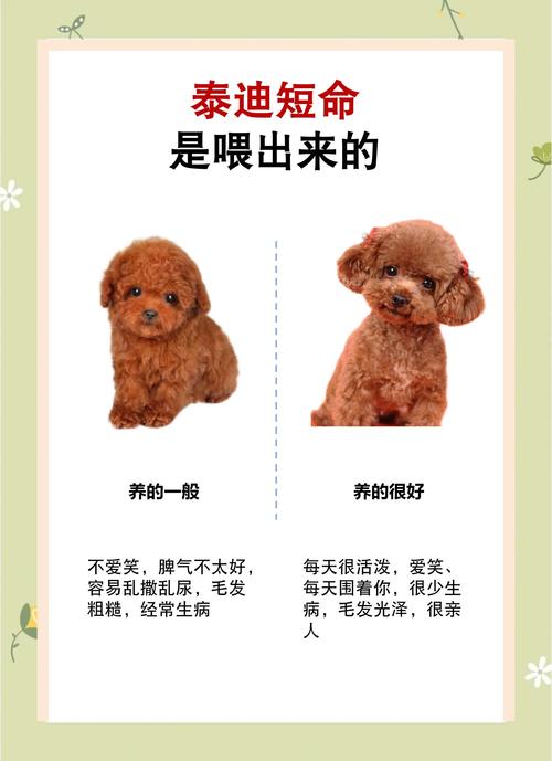 狗狗不吃食怎么办-夏天热狗狗不吃饭怎么办-第2张图片 狗狗不吃食怎么办-夏天热狗狗不吃饭怎么办-第2张图片