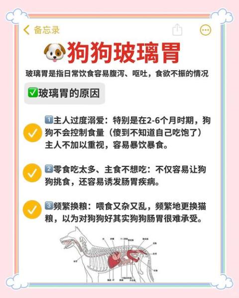 狗狗不吃食怎么办-夏天热狗狗不吃饭怎么办-第5张图片 狗狗不吃食怎么办-夏天热狗狗不吃饭怎么办-第5张图片