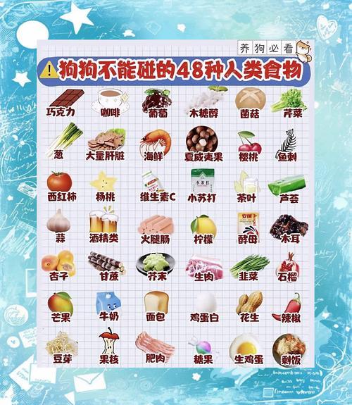 狗狗不吃食怎么办-夏天热狗狗不吃饭怎么办-第7张图片 狗狗不吃食怎么办-夏天热狗狗不吃饭怎么办-第7张图片